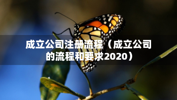 成立公司注冊流程（成立公司的流程和要求2020）