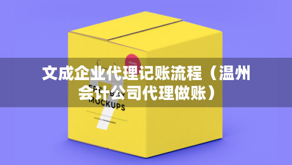 文成企業(yè)代理記賬流程（溫州會計(jì)公司代理做賬）