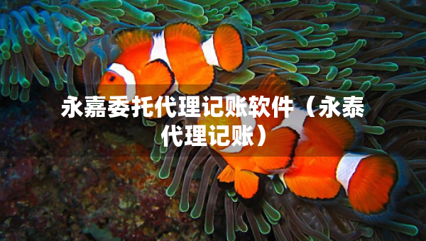 永嘉委托代理記賬軟件（永泰代理記賬）