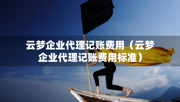 云夢企業(yè)代理記賬費用（云夢企業(yè)代理記賬費用標準）