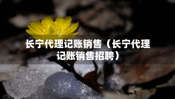 長(zhǎng)寧代理記賬銷售（長(zhǎng)寧代理記賬銷售招聘）