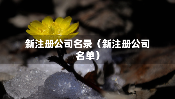 新注冊(cè)公司名錄（新注冊(cè)公司名單）