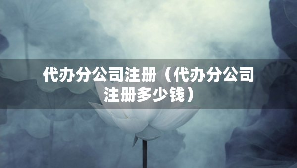 代辦分公司注冊（代辦分公司注冊多少錢）