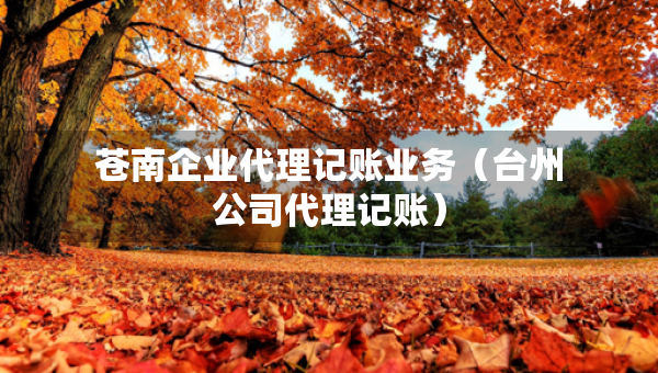 蒼南企業(yè)代理記賬業(yè)務(wù)（臺州公司代理記賬）