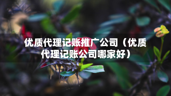 優(yōu)質(zhì)代理記賬推廣公司（優(yōu)質(zhì)代理記賬公司哪家好）