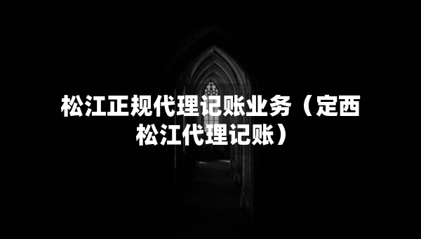 松江正規(guī)代理記賬業(yè)務(wù)（定西松江代理記賬）