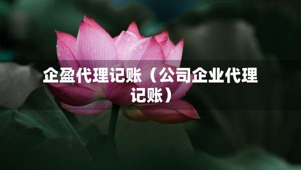 企盈代理記賬（公司企業(yè)代理記賬）