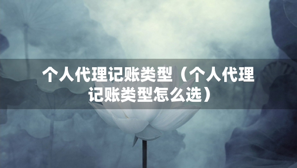 個(gè)人代理記賬類型（個(gè)人代理記賬類型怎么選）