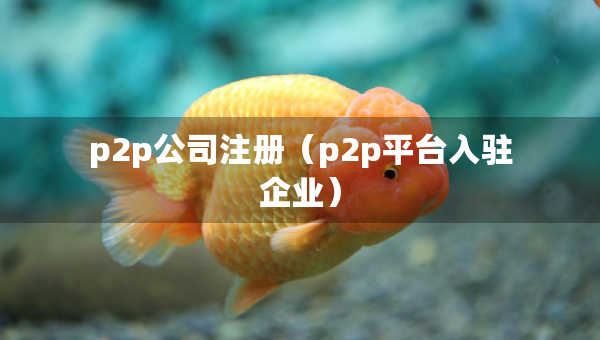 p2p公司注冊(cè)（p2p平臺(tái)入駐企業(yè)）