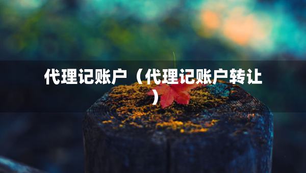 代理記賬戶（代理記賬戶轉(zhuǎn)讓）