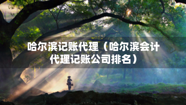 哈爾濱記賬代理（哈爾濱會(huì)計(jì)代理記賬公司排名）