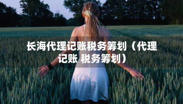 長海代理記賬稅務(wù)籌劃（代理記賬 稅務(wù)籌劃）