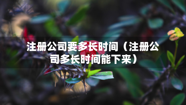 注冊(cè)公司要多長(zhǎng)時(shí)間（注冊(cè)公司多長(zhǎng)時(shí)間能下來）