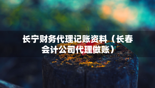 長寧財(cái)務(wù)代理記賬資料（長春會計(jì)公司代理做賬）