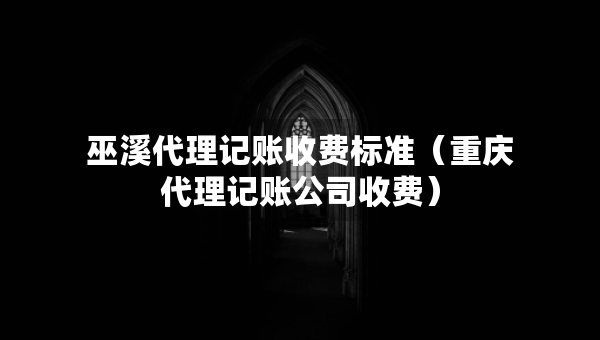 巫溪代理記賬收費標準（重慶代理記賬公司收費）