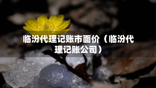 臨汾代理記賬市面價（臨汾代理記賬公司）