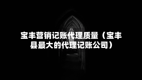 寶豐營銷記賬代理質(zhì)量（寶豐縣最大的代理記賬公司）