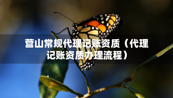 營(yíng)山常規(guī)代理記賬資質(zhì)（代理記賬資質(zhì)辦理流程）