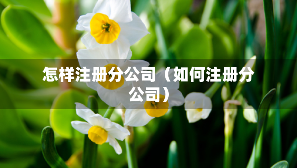 怎樣注冊(cè)分公司（如何注冊(cè)分公司）