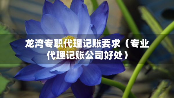 龍灣專職代理記賬要求（專業(yè)代理記賬公司好處）