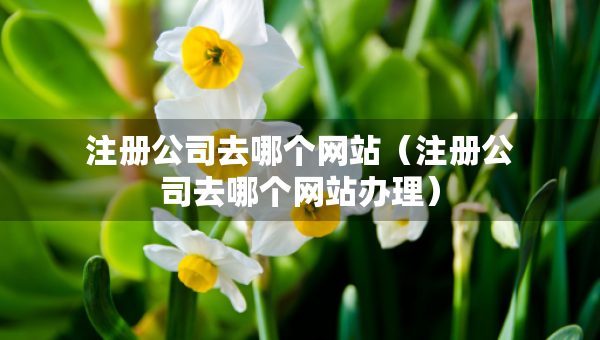 注冊(cè)公司去哪個(gè)網(wǎng)站（注冊(cè)公司去哪個(gè)網(wǎng)站辦理）