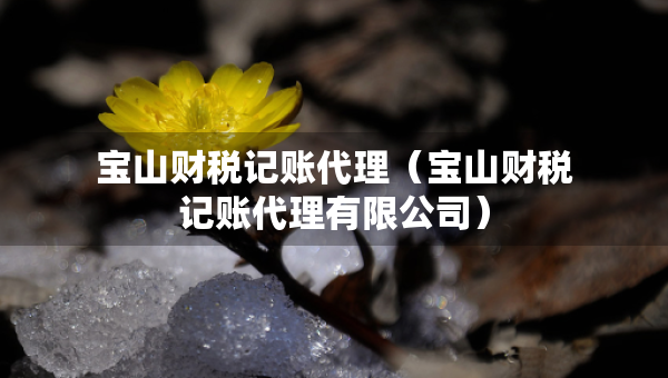 寶山財(cái)稅記賬代理（寶山財(cái)稅記賬代理有限公司）