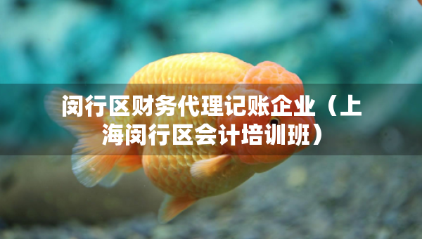 閔行區(qū)財(cái)務(wù)代理記賬企業(yè)（上海閔行區(qū)會(huì)計(jì)培訓(xùn)班）