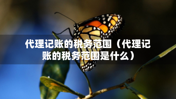 代理記賬的稅務范圍（代理記賬的稅務范圍是什么）