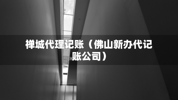 禪城代理記賬（佛山新辦代記賬公司）