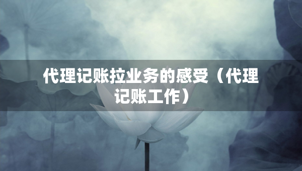 代理記賬拉業(yè)務(wù)的感受（代理記賬工作）