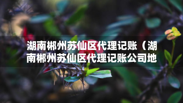 湖南郴州蘇仙區(qū)代理記賬（湖南郴州蘇仙區(qū)代理記賬公司地址）