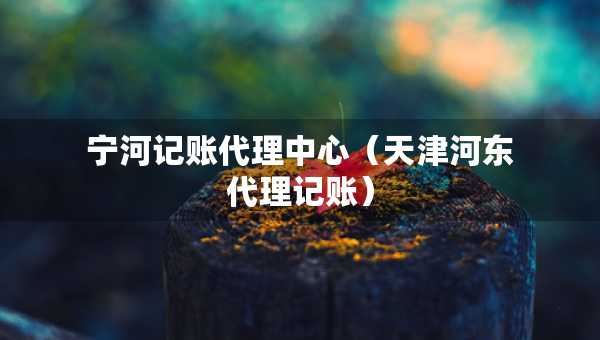 寧河記賬代理中心（天津河?xùn)|代理記賬）