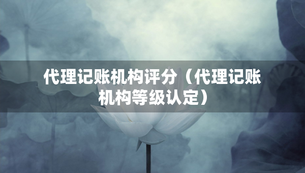 代理記賬機(jī)構(gòu)評(píng)分（代理記賬機(jī)構(gòu)等級(jí)認(rèn)定）