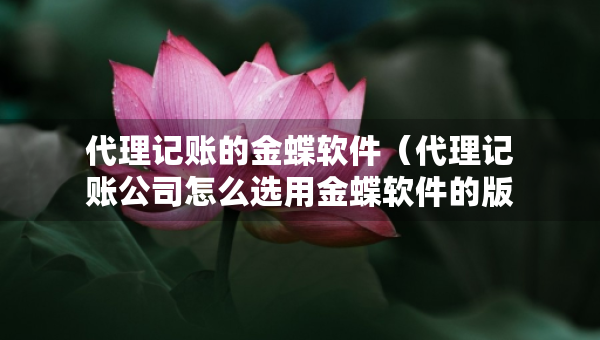 代理記賬的金蝶軟件（代理記賬公司怎么選用金蝶軟件的版本）