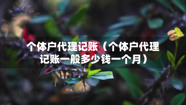 個(gè)體戶代理記賬（個(gè)體戶代理記賬一般多少錢一個(gè)月）