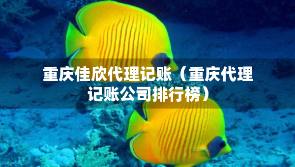 重慶佳欣代理記賬（重慶代理記賬公司排行榜）