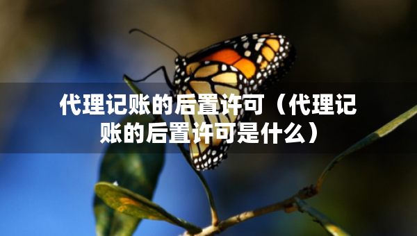 代理記賬的后置許可（代理記賬的后置許可是什么）