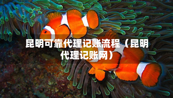 昆明可靠代理記賬流程（昆明代理記賬網(wǎng)）