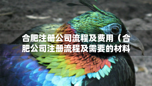 合肥注冊公司流程及費(fèi)用（合肥公司注冊流程及需要的材料）