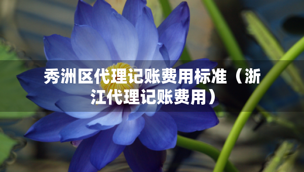 秀洲區(qū)代理記賬費(fèi)用標(biāo)準(zhǔn)（浙江代理記賬費(fèi)用）