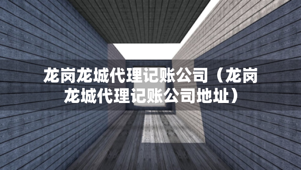 龍崗龍城代理記賬公司（龍崗龍城代理記賬公司地址）