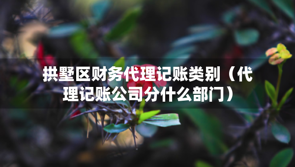 拱墅區(qū)財(cái)務(wù)代理記賬類別（代理記賬公司分什么部門）