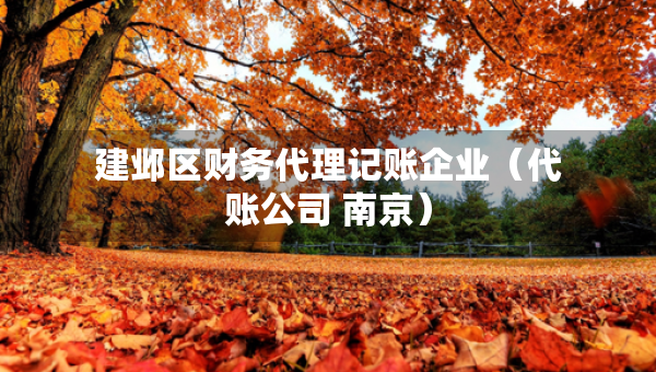 建鄴區(qū)財(cái)務(wù)代理記賬企業(yè)（代賬公司 南京）