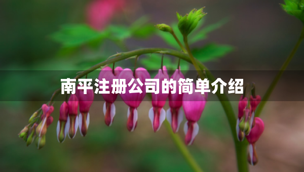 南平注冊(cè)公司的簡(jiǎn)單介紹