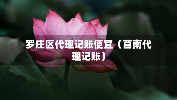 羅莊區(qū)代理記賬便宜（莒南代理記賬）