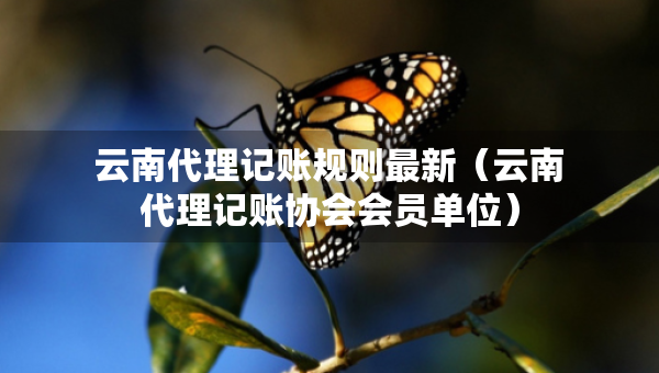 云南代理記賬規(guī)則最新（云南代理記賬協(xié)會會員單位）