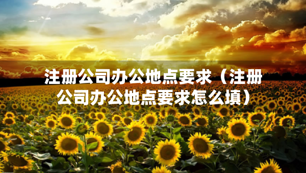 注冊(cè)公司辦公地點(diǎn)要求（注冊(cè)公司辦公地點(diǎn)要求怎么填）