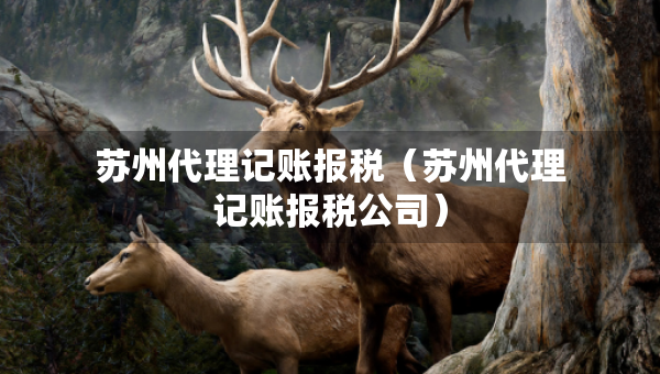 蘇州代理記賬報(bào)稅（蘇州代理記賬報(bào)稅公司）