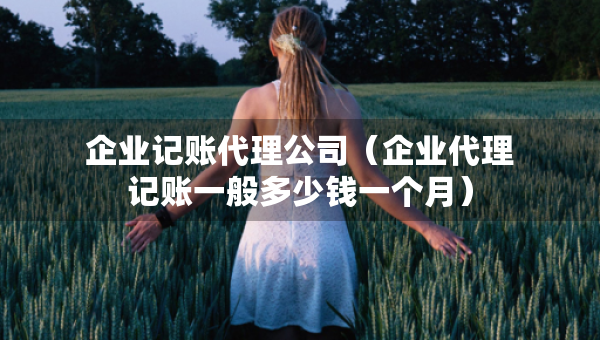 企業(yè)記賬代理公司（企業(yè)代理記賬一般多少錢一個月）