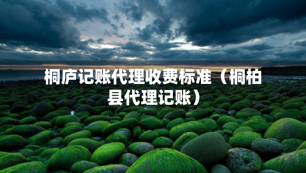 桐廬記賬代理收費(fèi)標(biāo)準(zhǔn)（桐柏縣代理記賬）